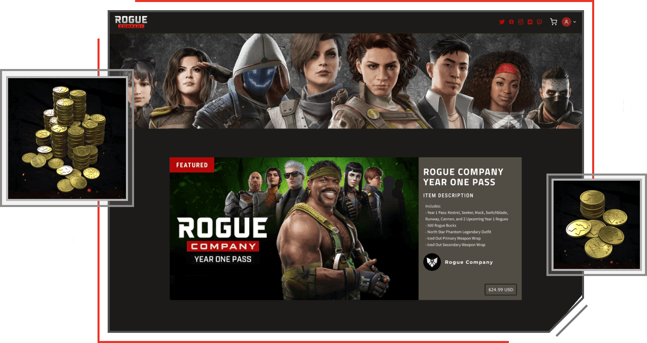 Rogue Company Store Example