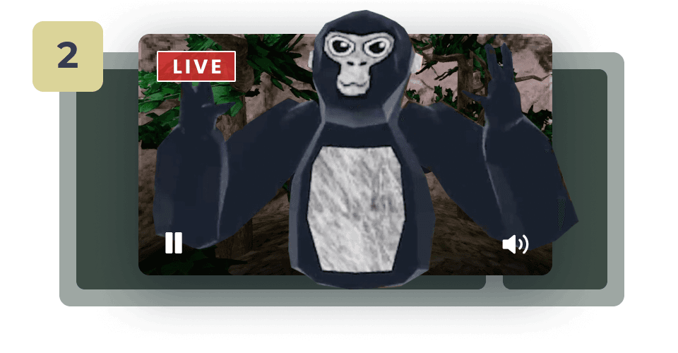 Gorilla Tag  Step 2